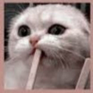 Meet your Posher, Angel